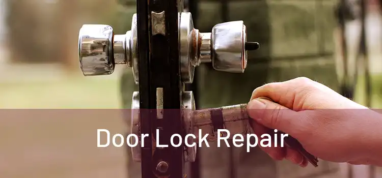  Door Lock Repair 